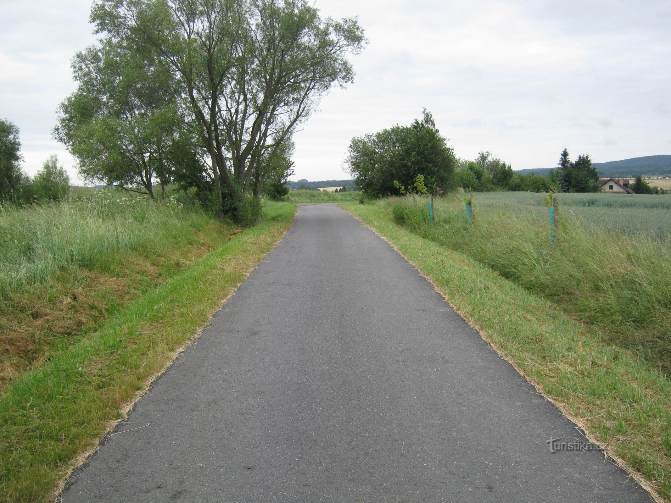 Riktningen till Zalány