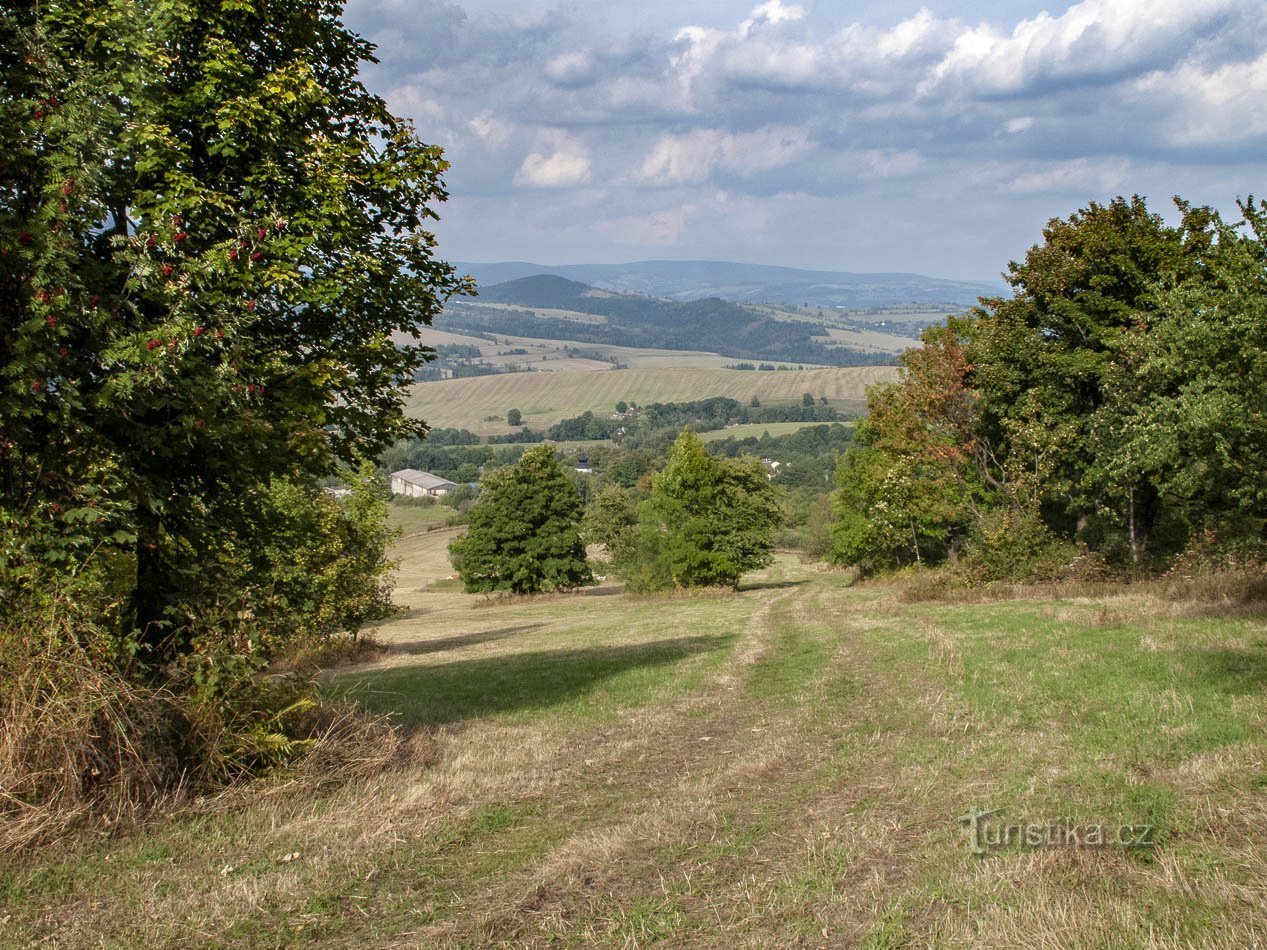 Proti Žarku