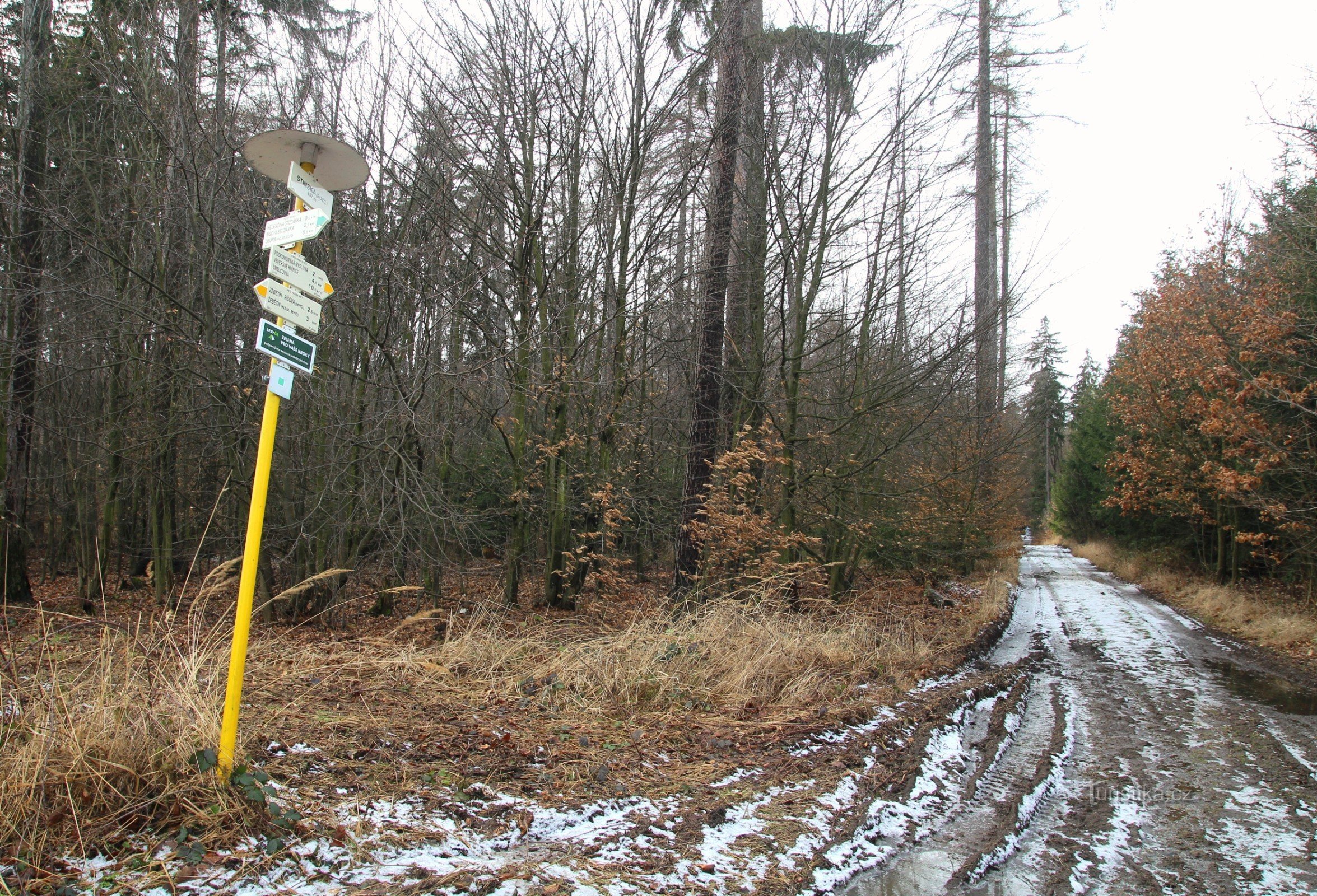 W kierunku Podkomorská myslivna