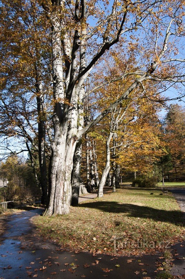 Zestawy do kremów