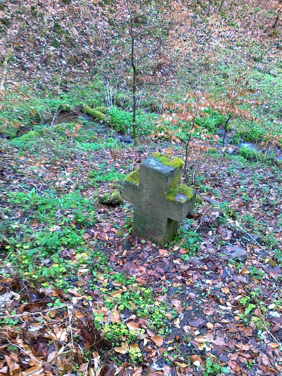 Peace cross of Domino.