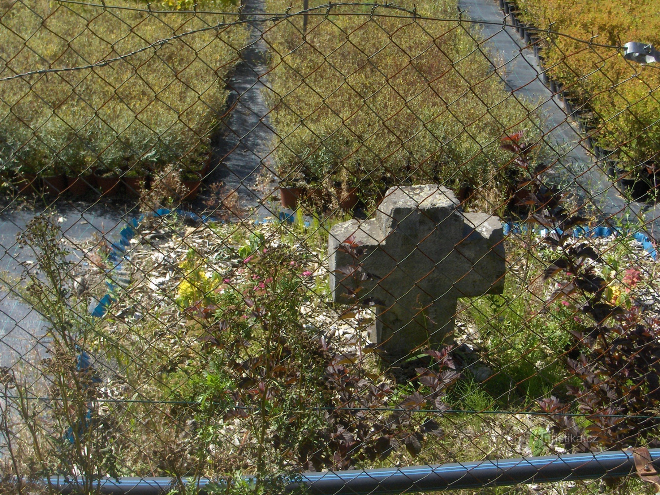 Peace Cross of Drmaly