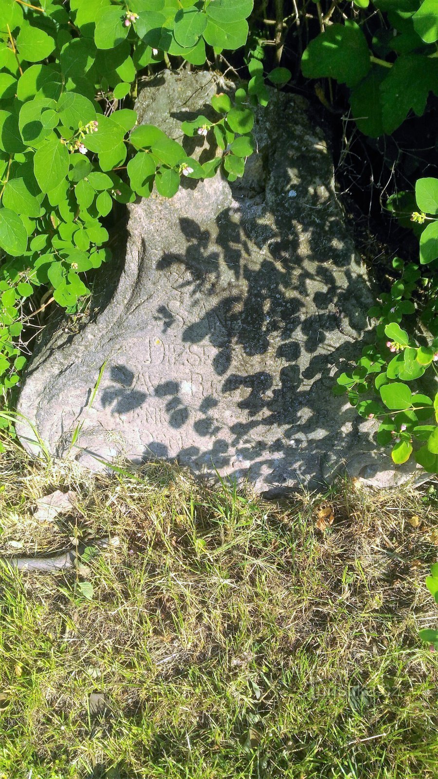 Fredskorset Kojetín