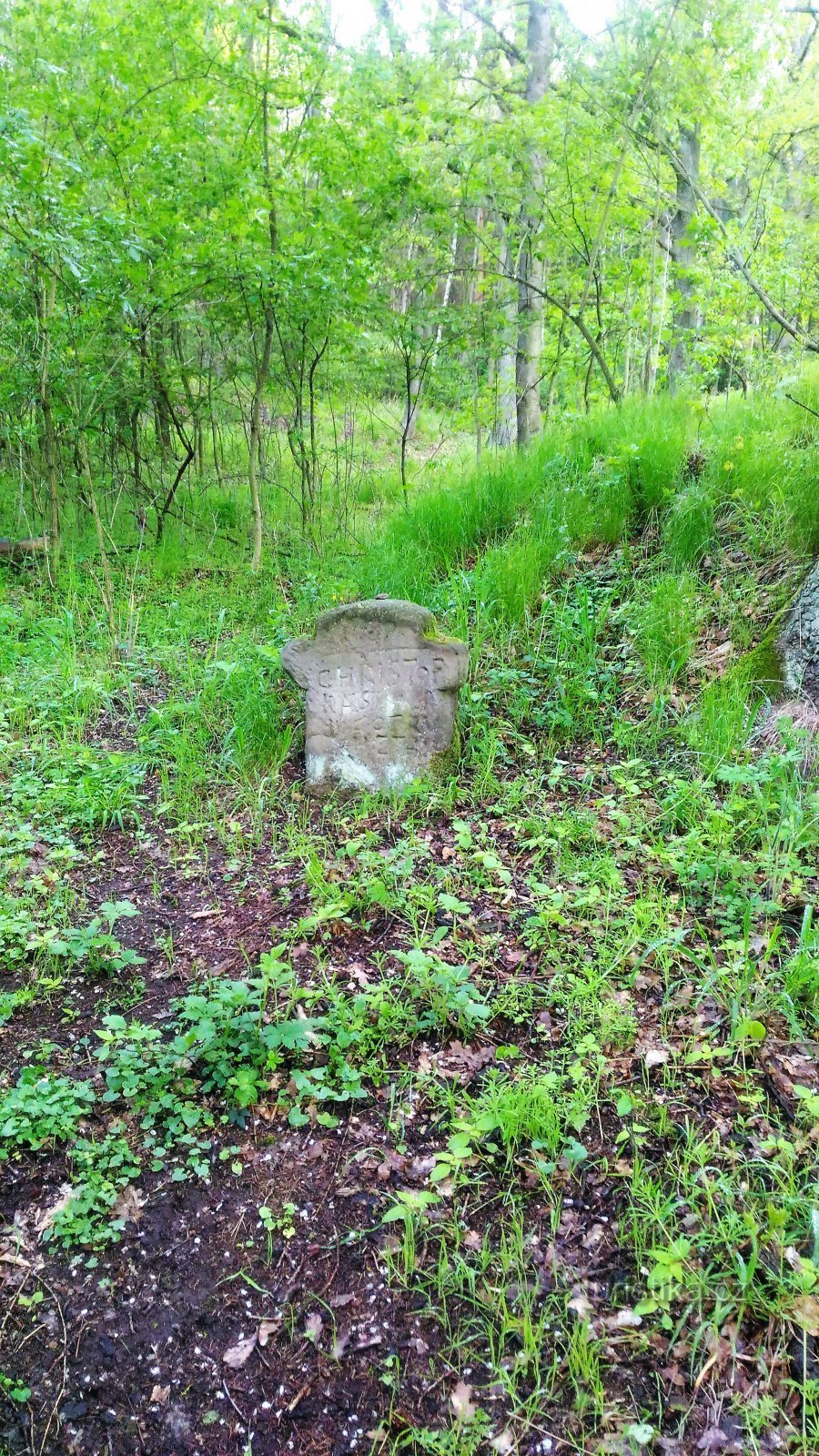 Σταυρός Ειρήνης στο Liběšice