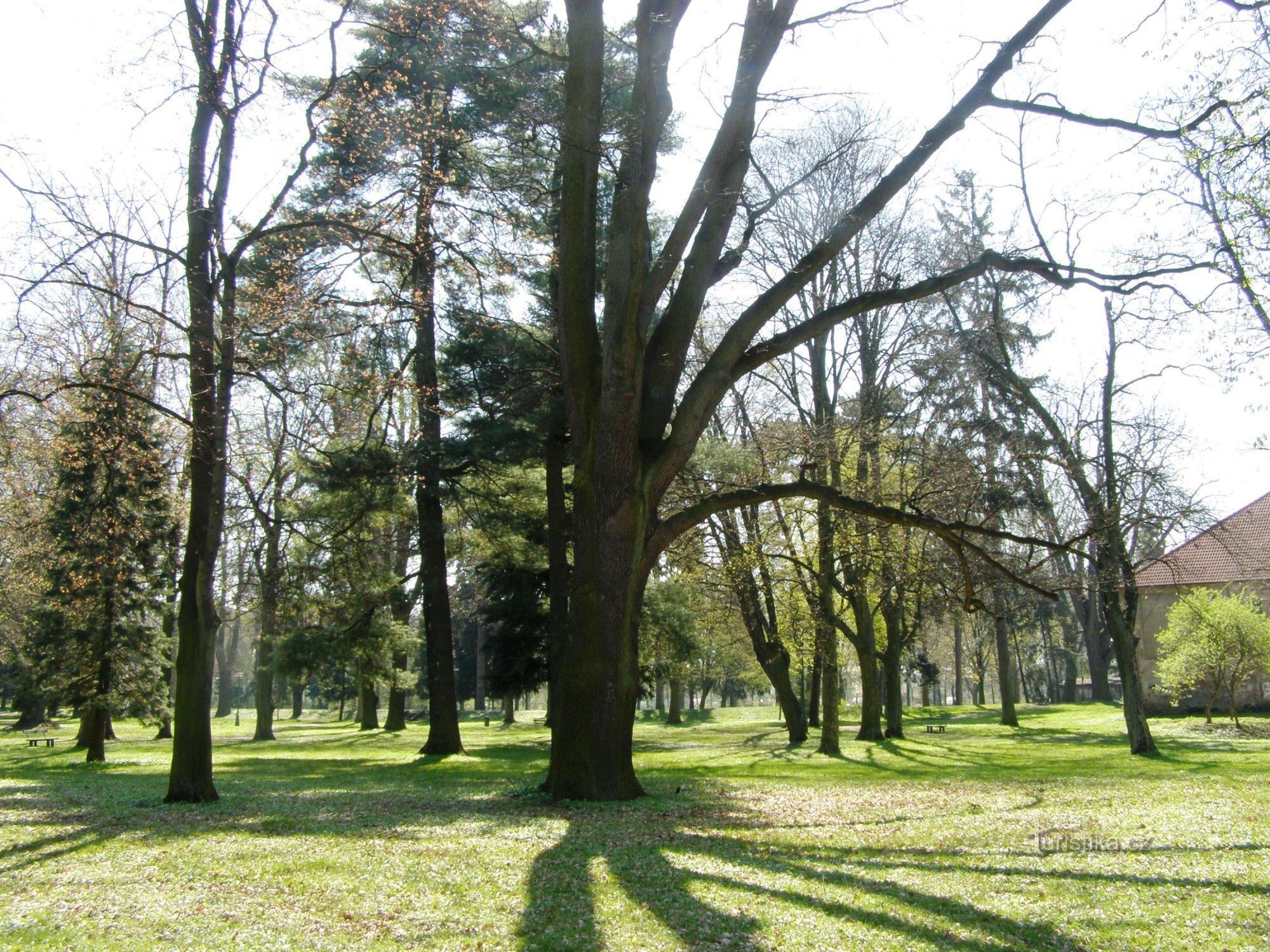 Smiřice - grajski park