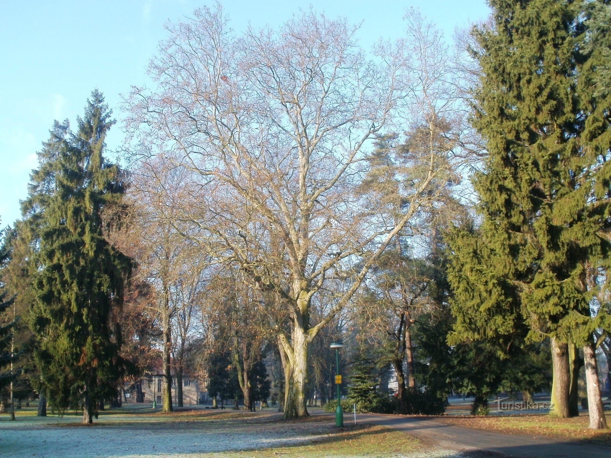 Smiřice - slottspark