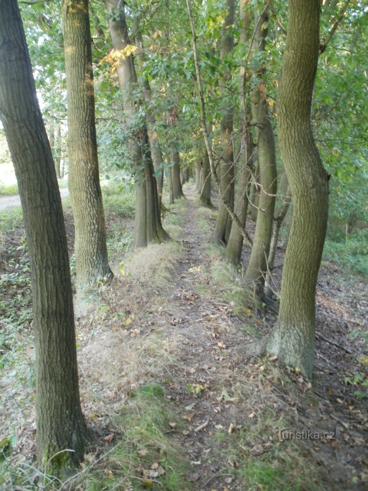 Smiřická hráz - Hradecké lesy