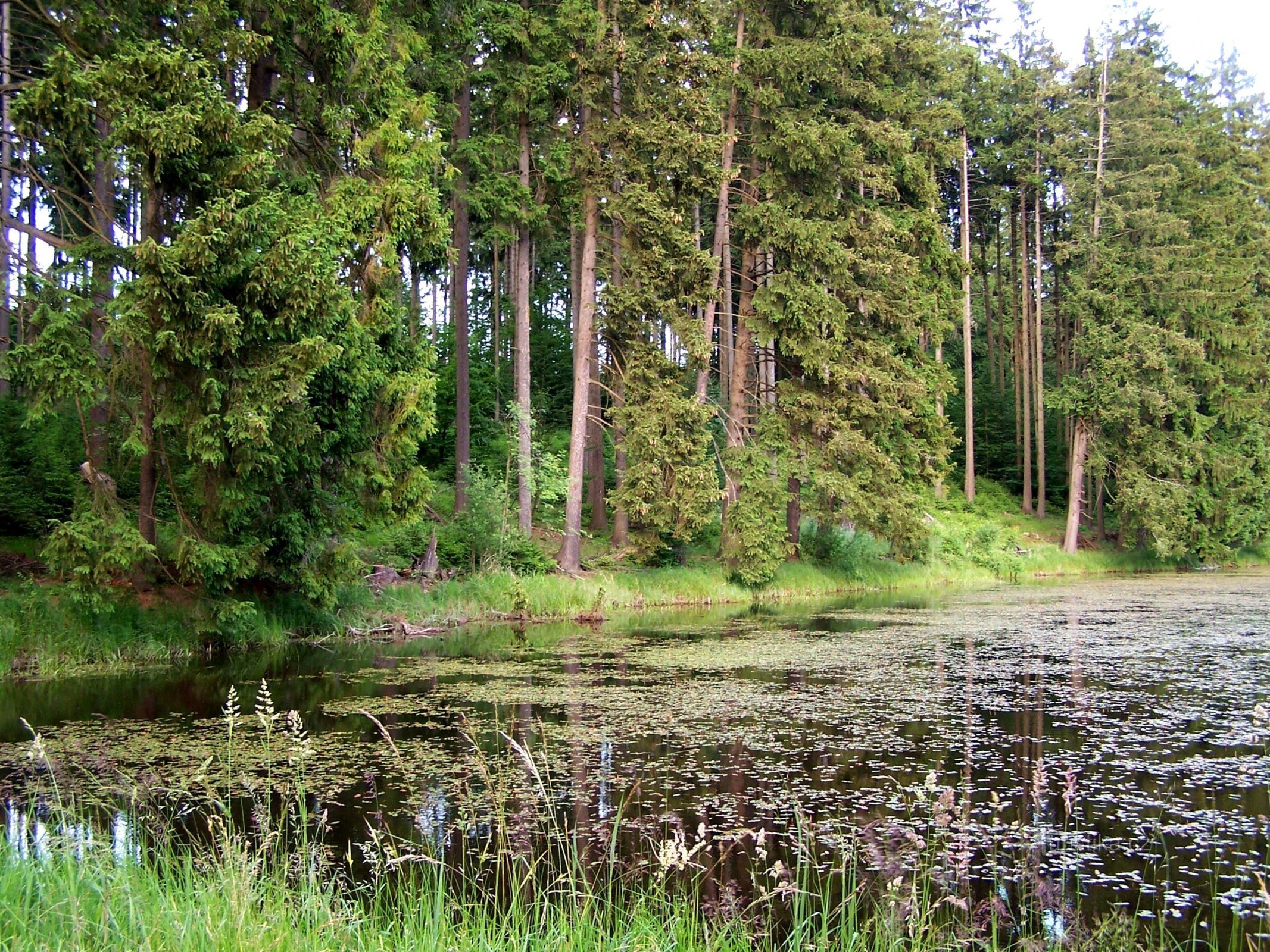 Szmolenszk kikötője