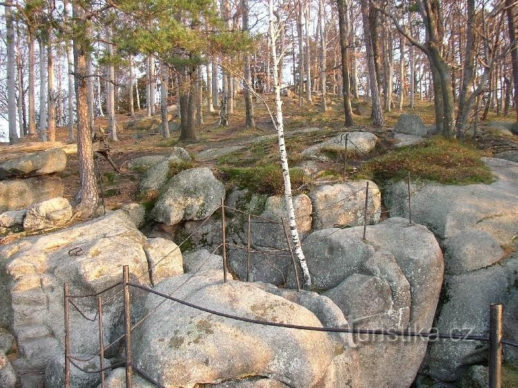 Smolný vrch: Widok ze skał na szczyt wzgórza