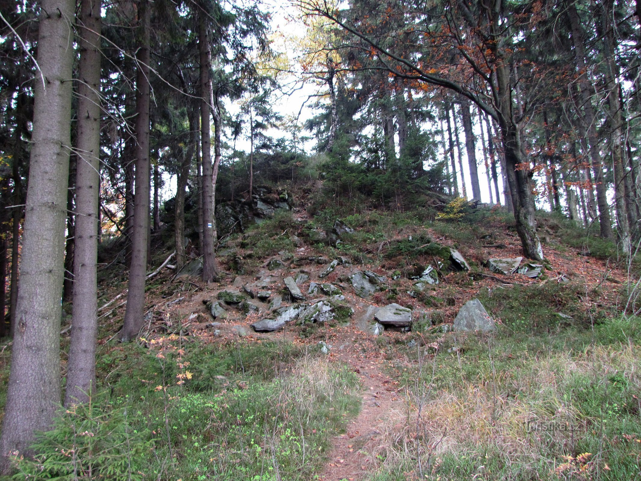 Smurčník vizitarea obiectivelor turistice