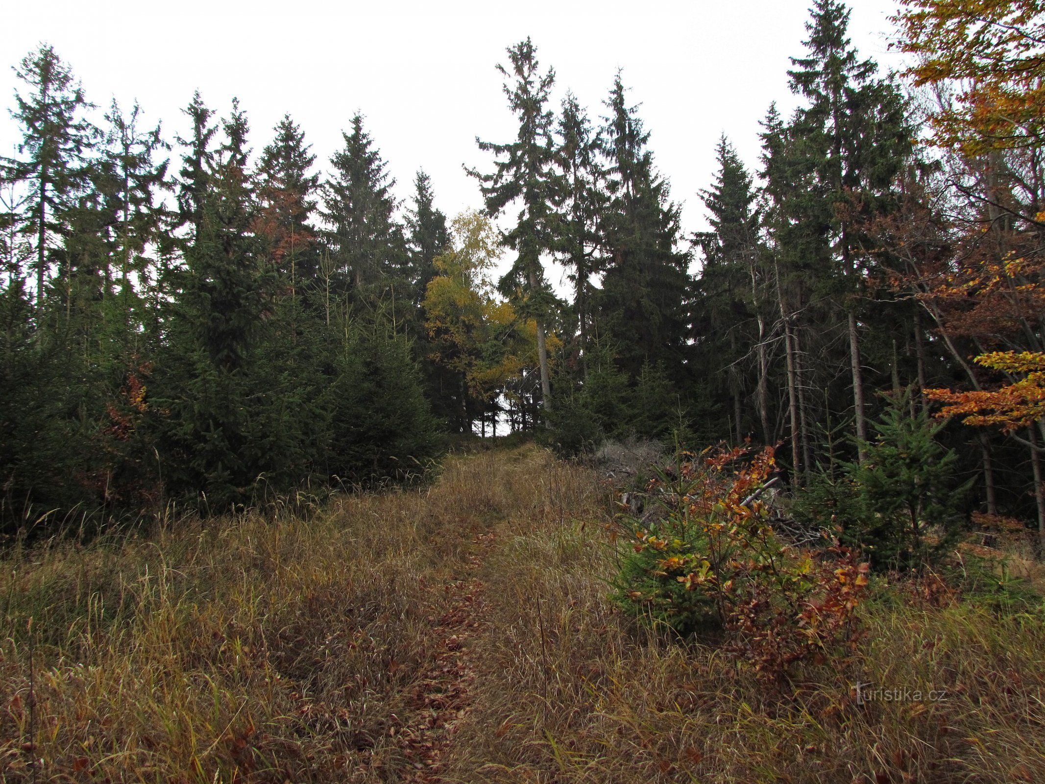 Smurčník vizitarea obiectivelor turistice