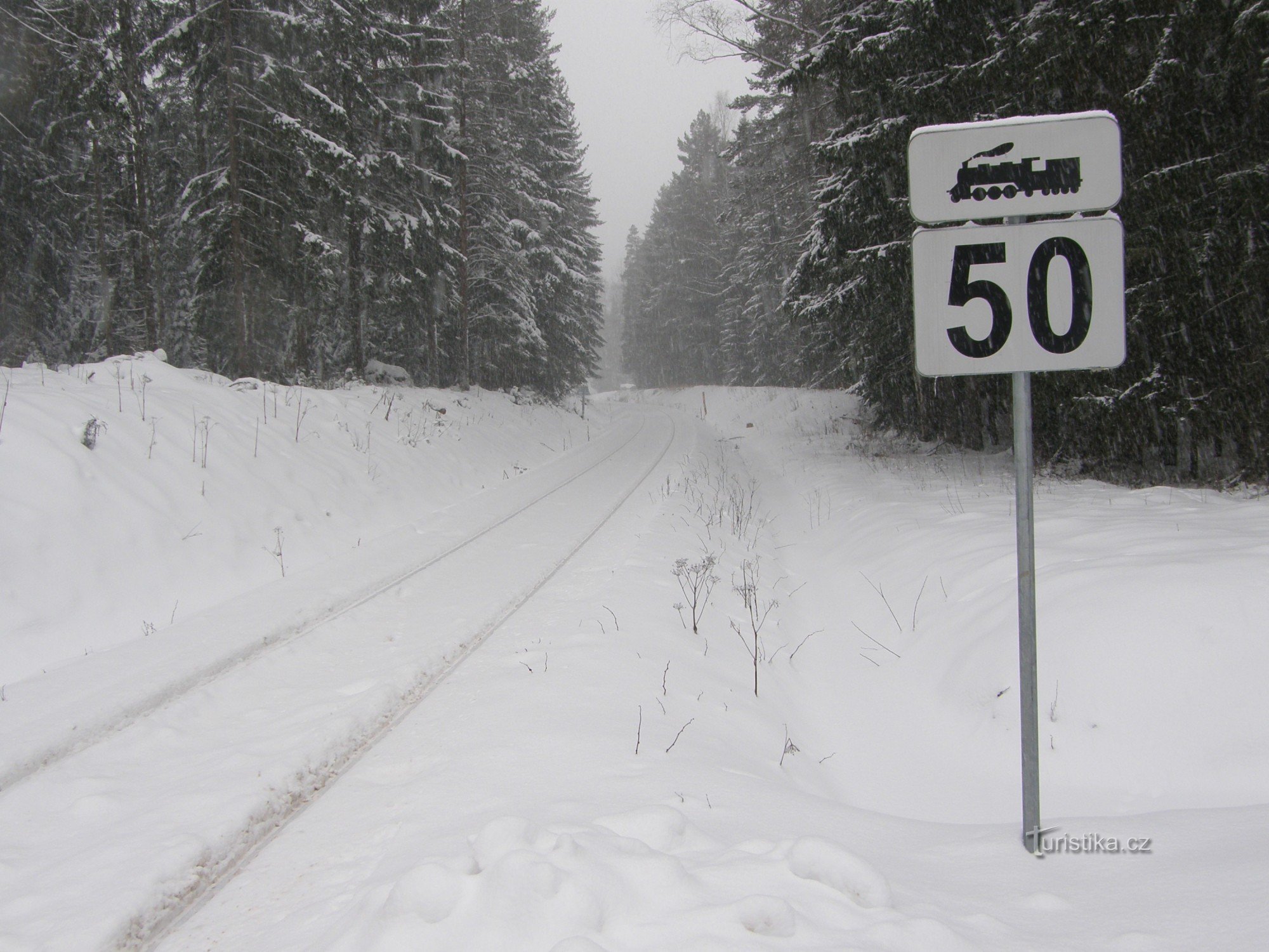 Las pistas se dirigen a través de la nieve hacia la frontera bávara.