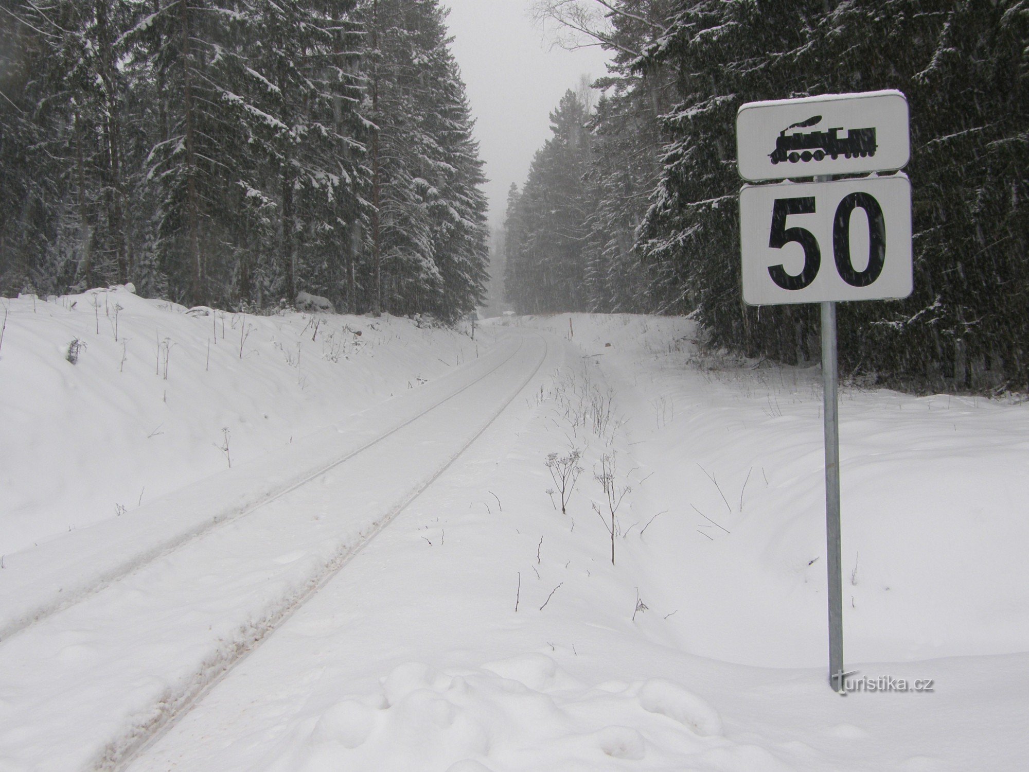 The tracks head through the snow towards the Bavarian border