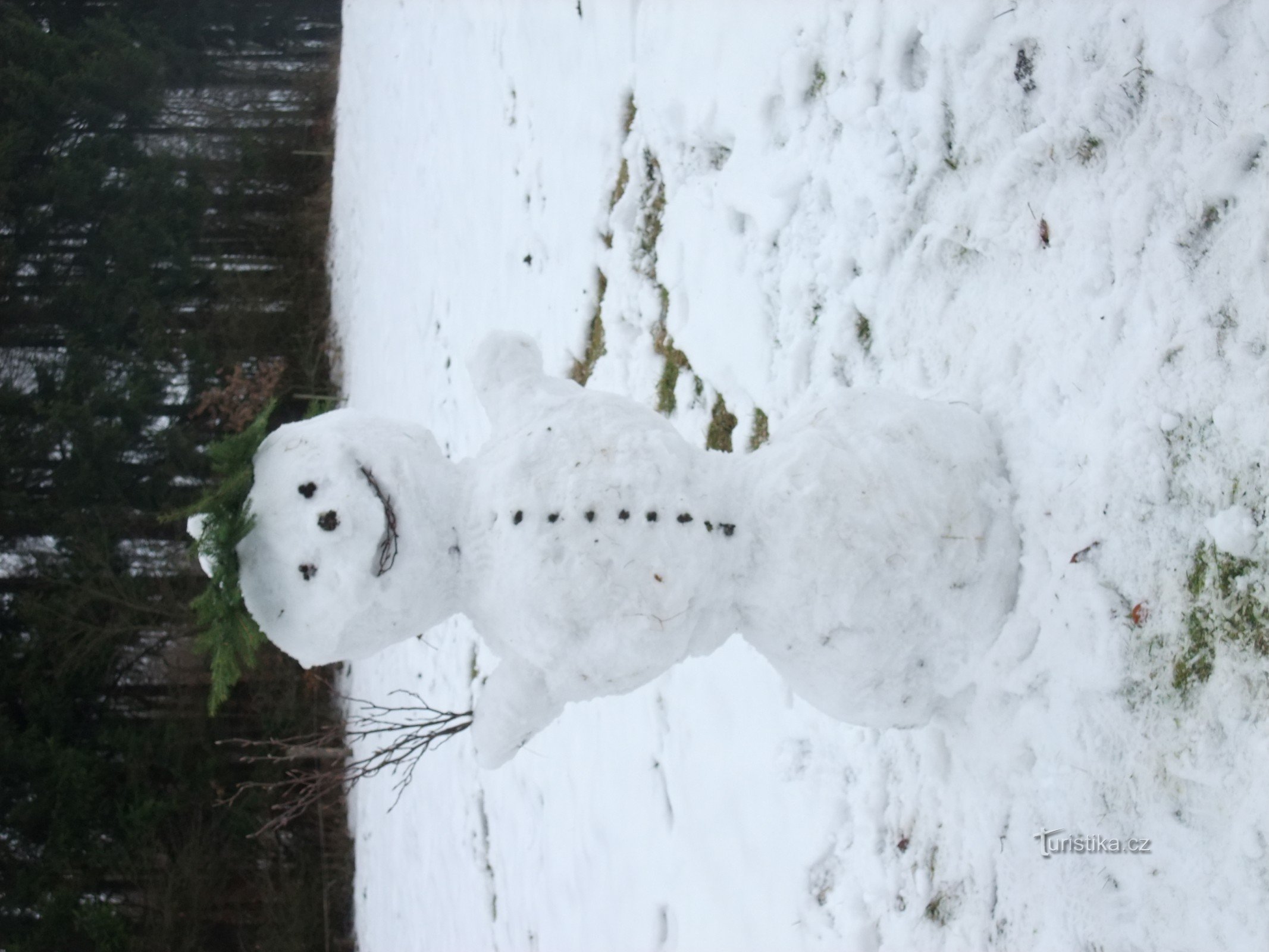 Schneemann..:-)