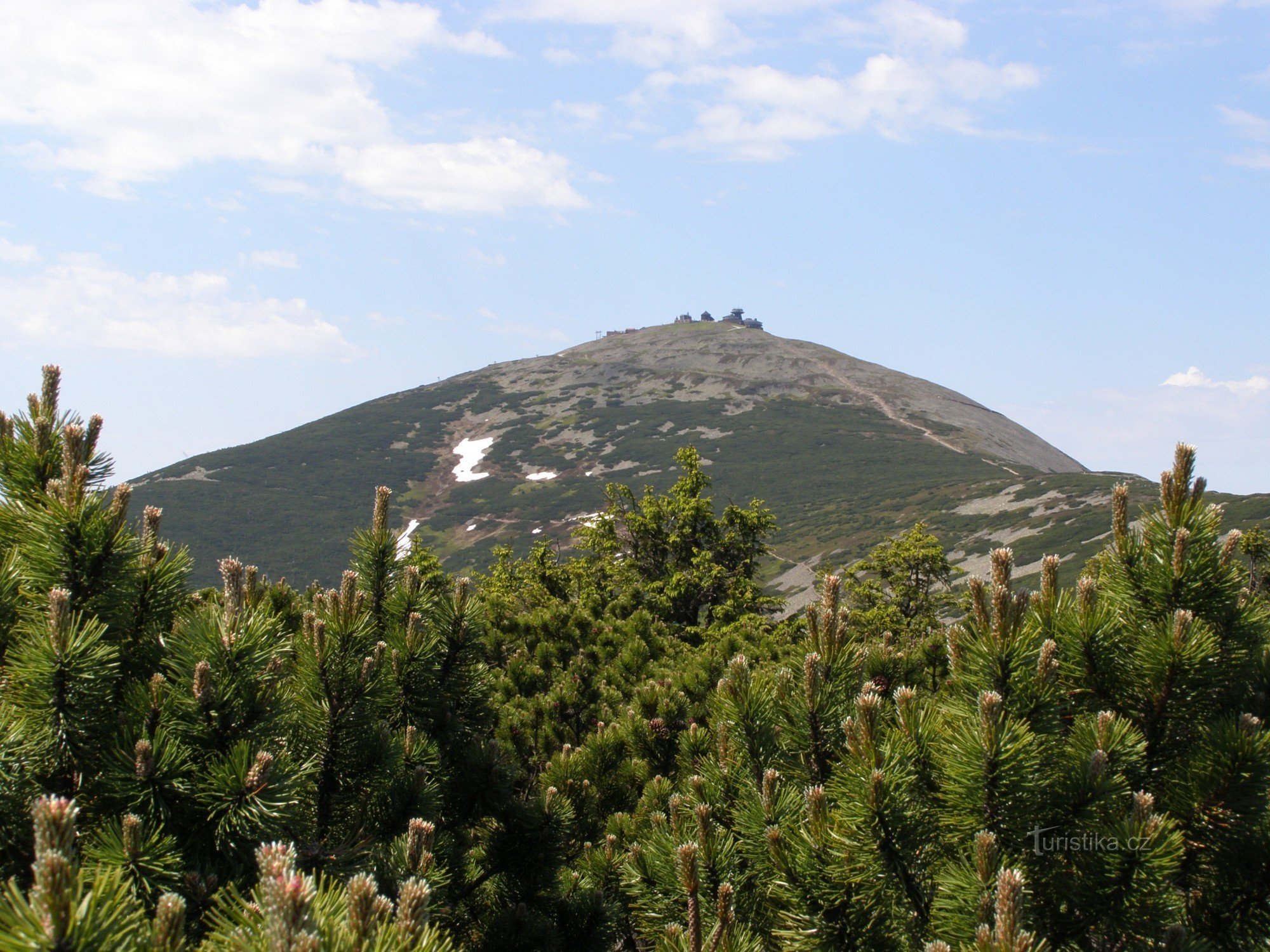 Sněžka from Svorová hora