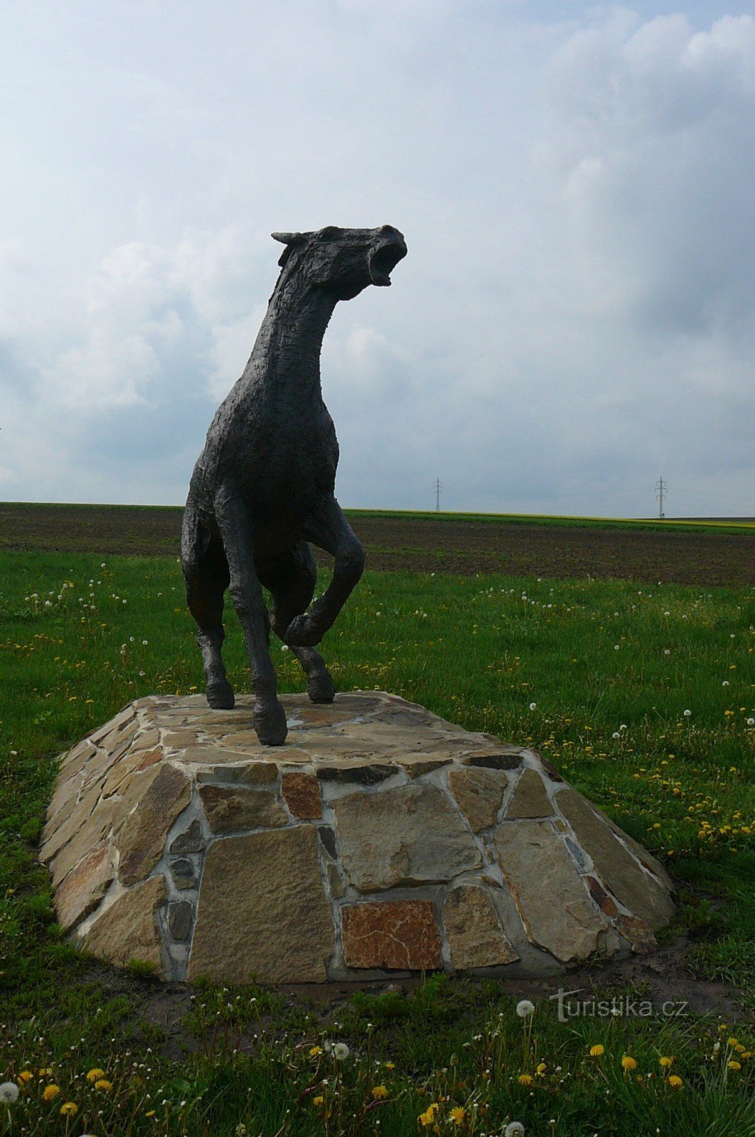 Standbeeld van een paard van voren