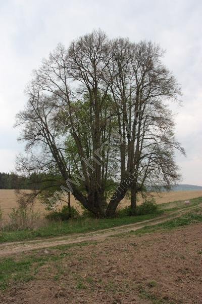 socha sv. Jana Nepomuckého