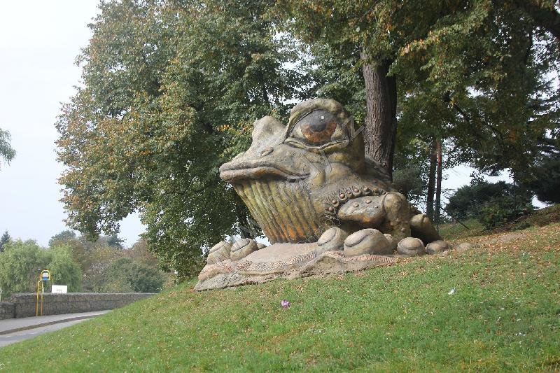 socha žáby
