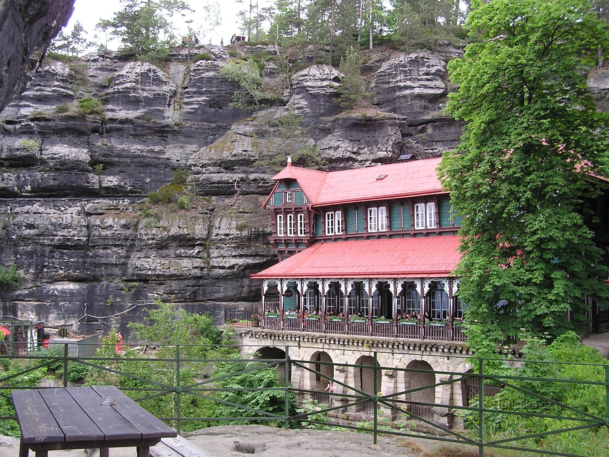 Falcon's nest under Pravčická brána 6/2015