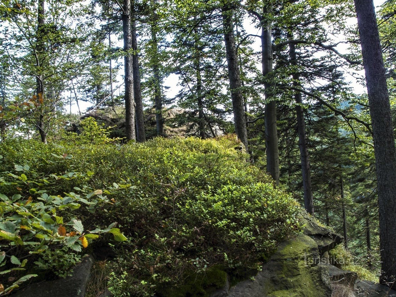 Falkenfelsen