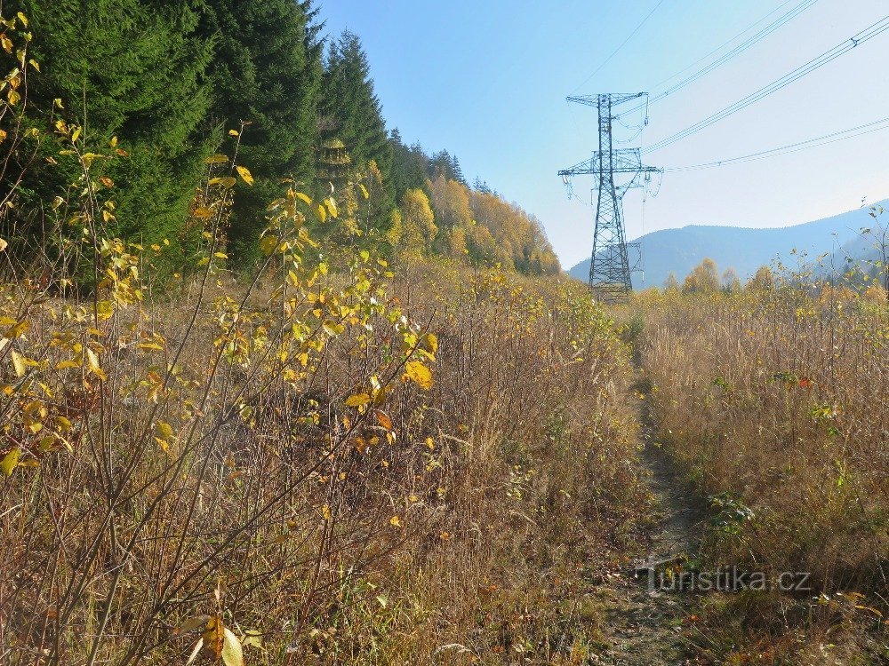 Sokolka 和 Divoka ​​Desnou (Kouty nad Desnou) 上方的其他岩石和岩石花园