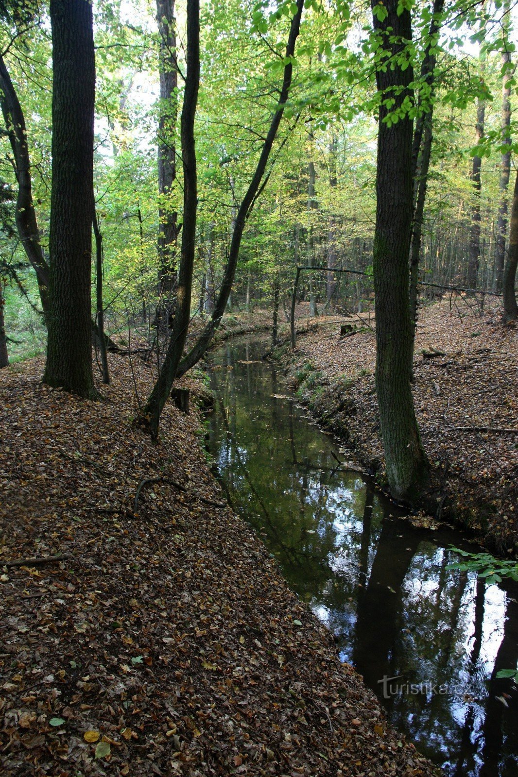 Canal Sopreč