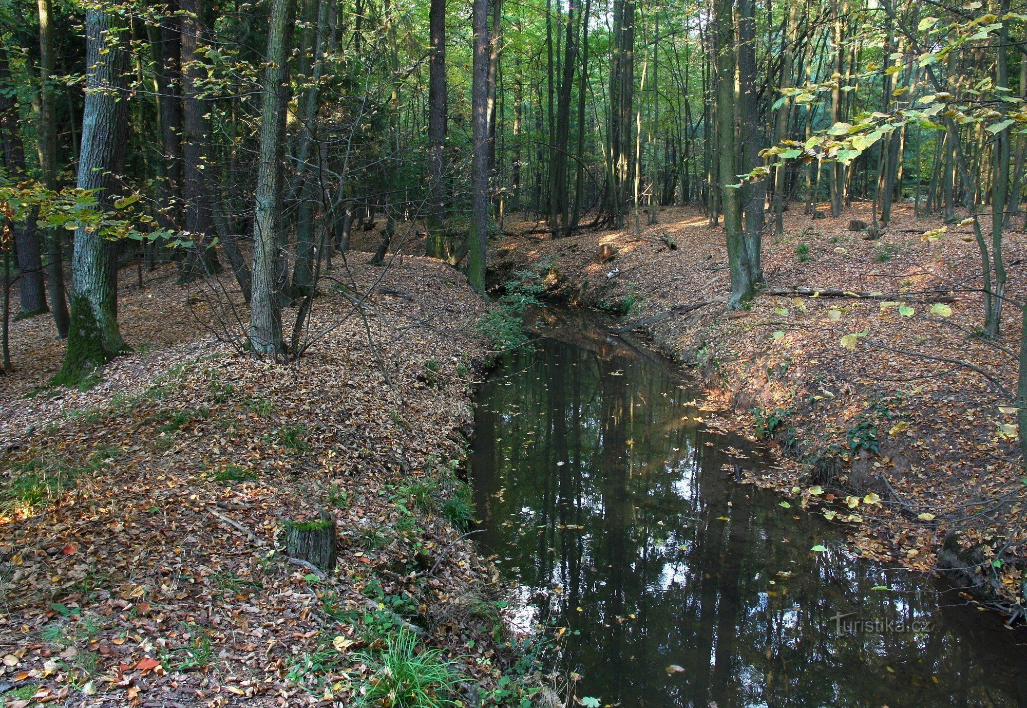 Canalul Sopreč