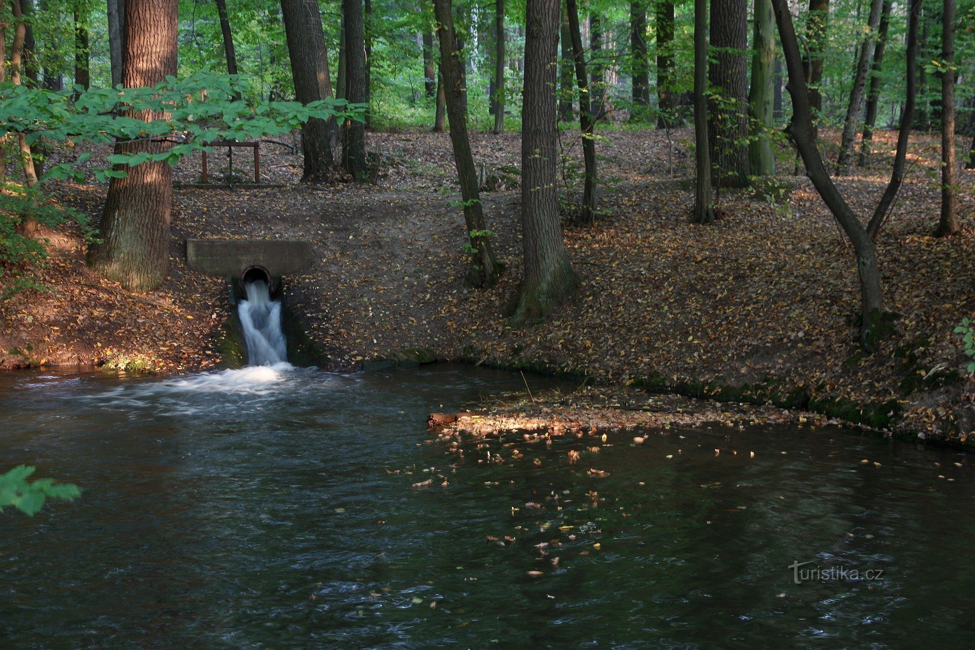 Sopřečský-kanaal, een van de zijrivieren van de Černý Nadýmač-vijver