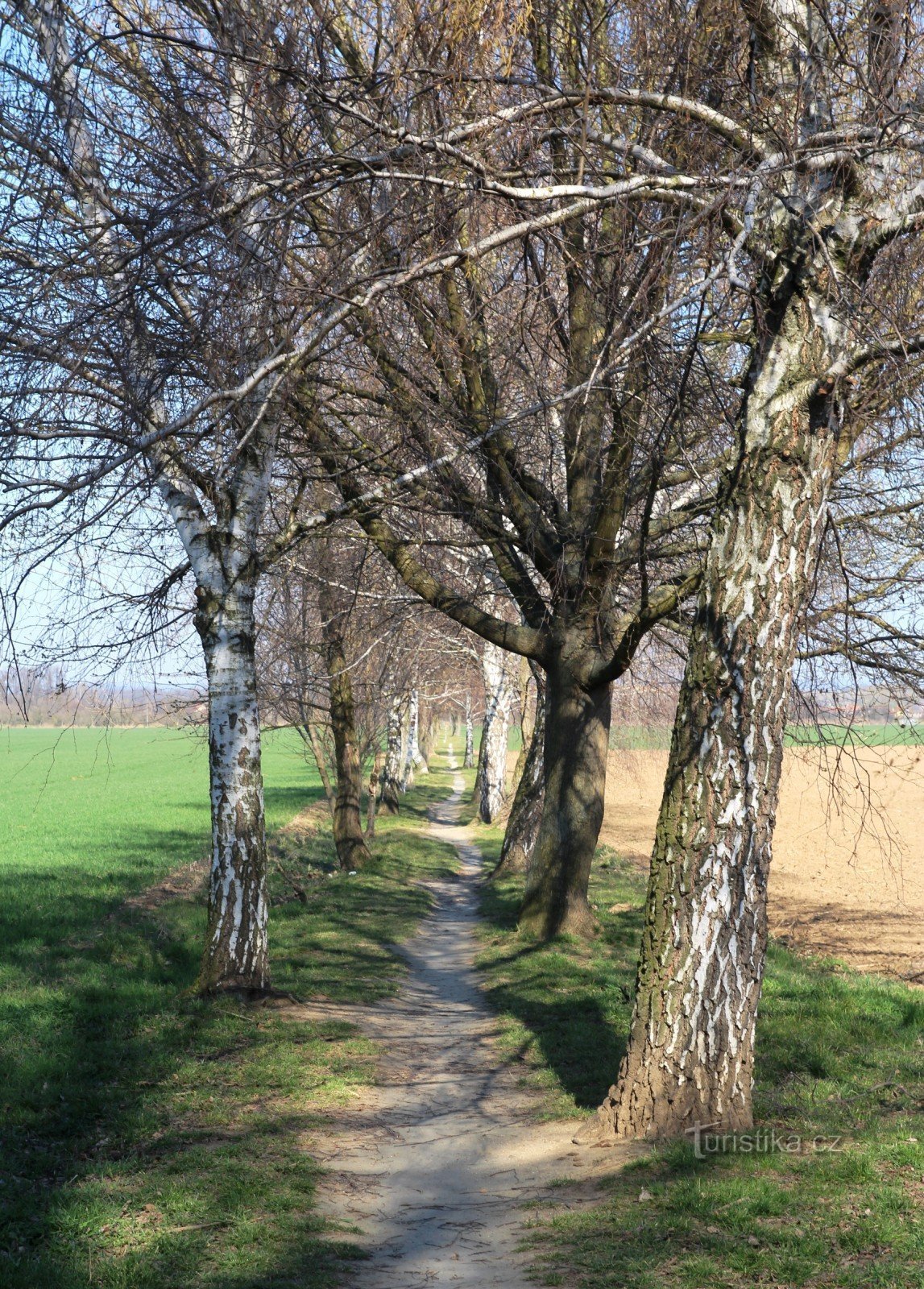 The current Holasická cesta has more the character of a pedestrian path