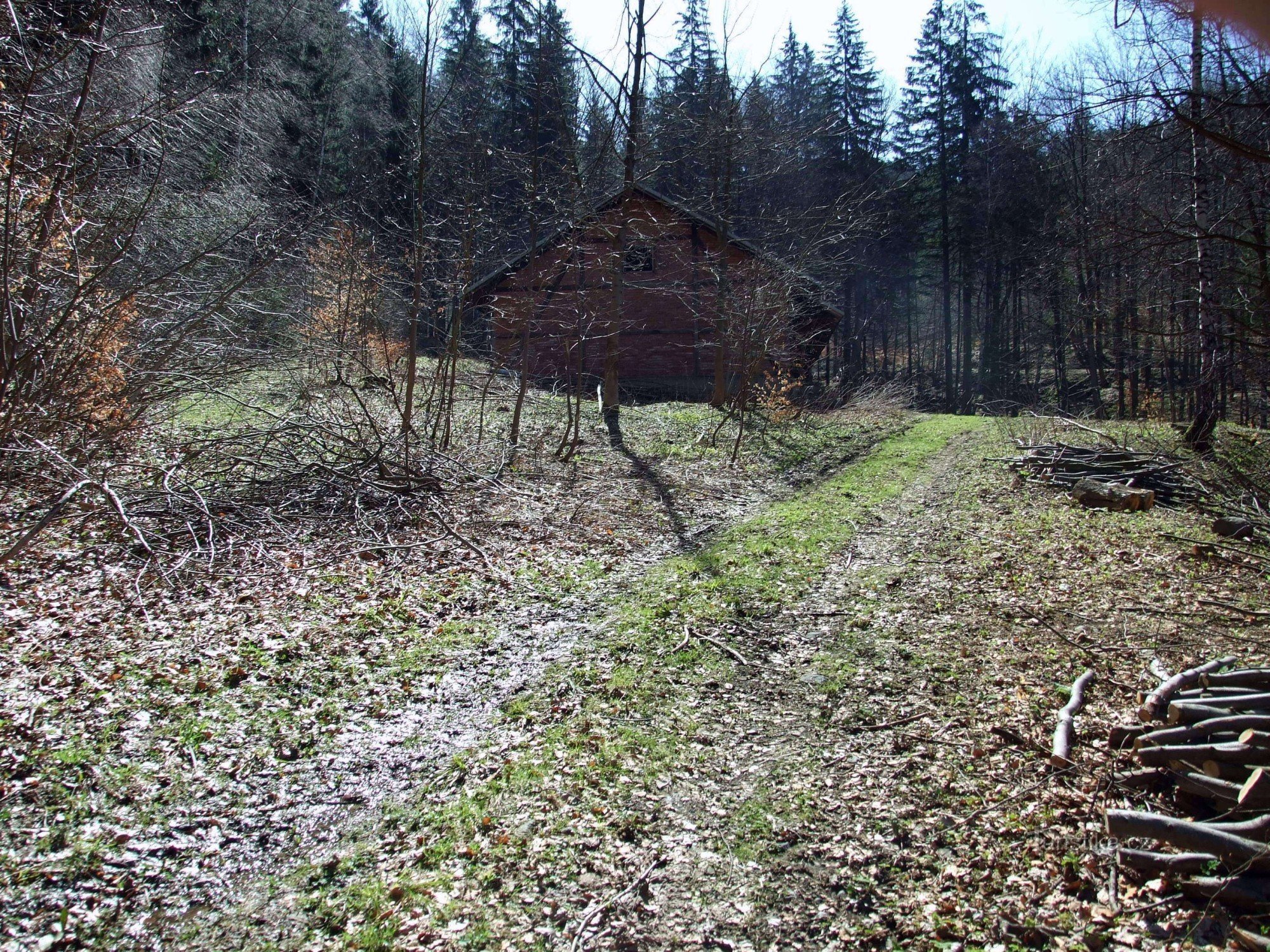 Obecny dojazd do budynku