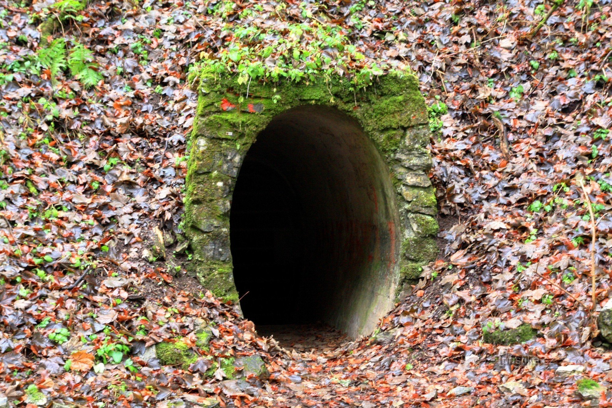 L'entrée actuelle de la grotte amateur depuis le bas du ravin désolé