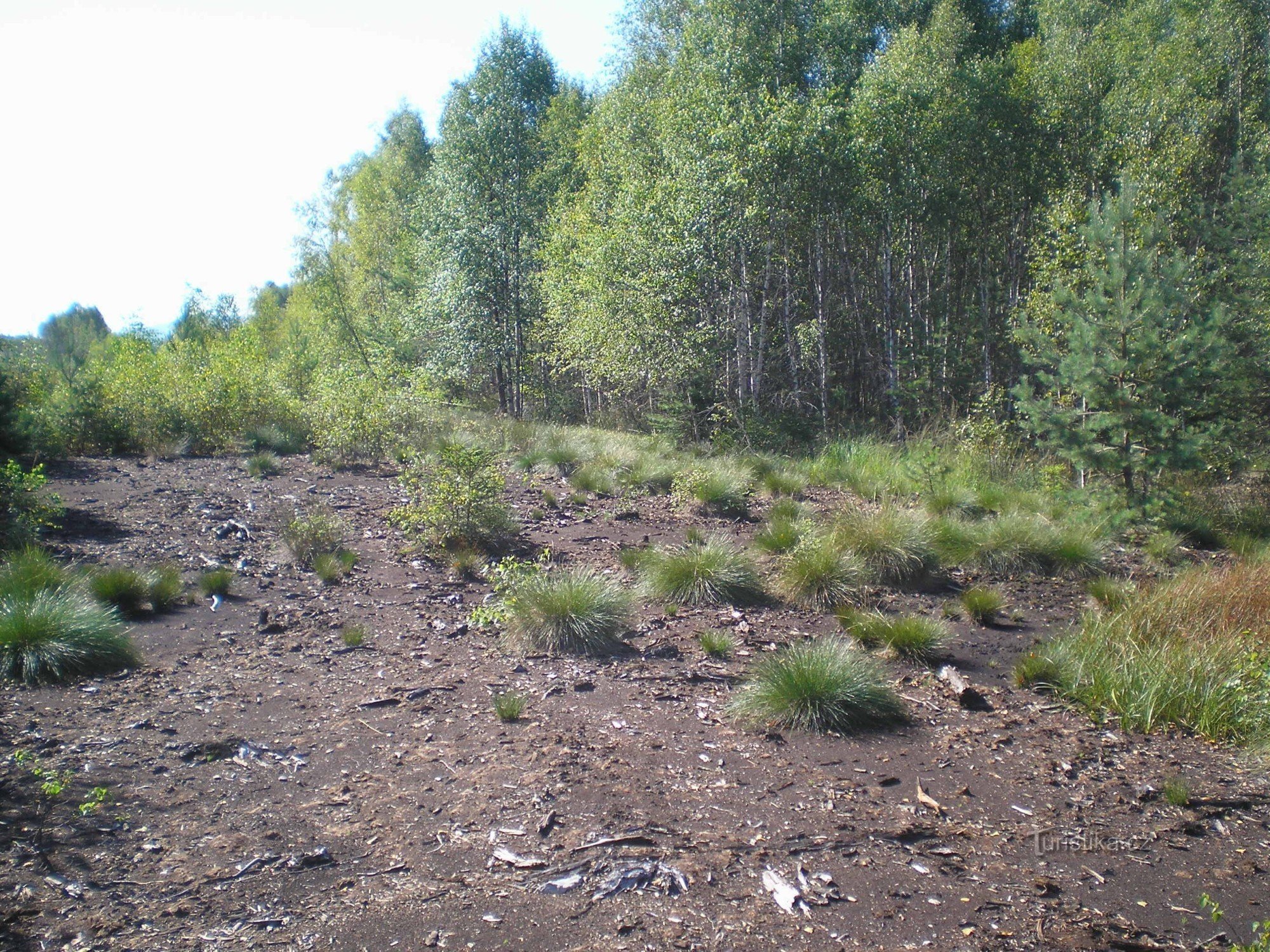 Tourbière de Soumar