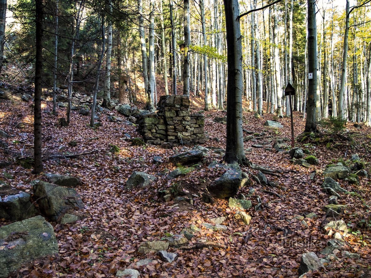 Søskende eller Søster Spring