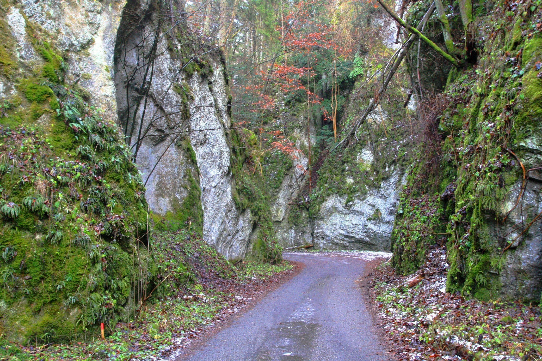 Horní narrow gorge in Suché žleb