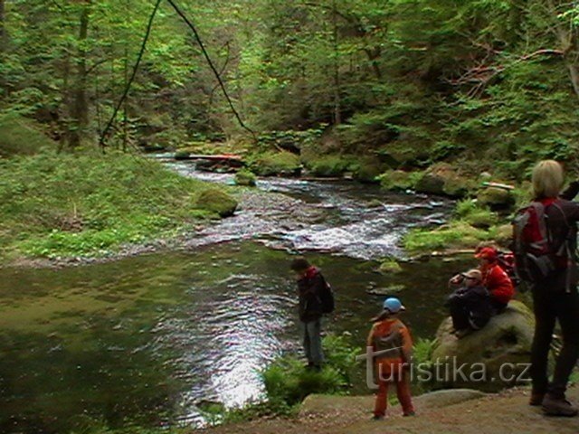 Gorges - Hřensko