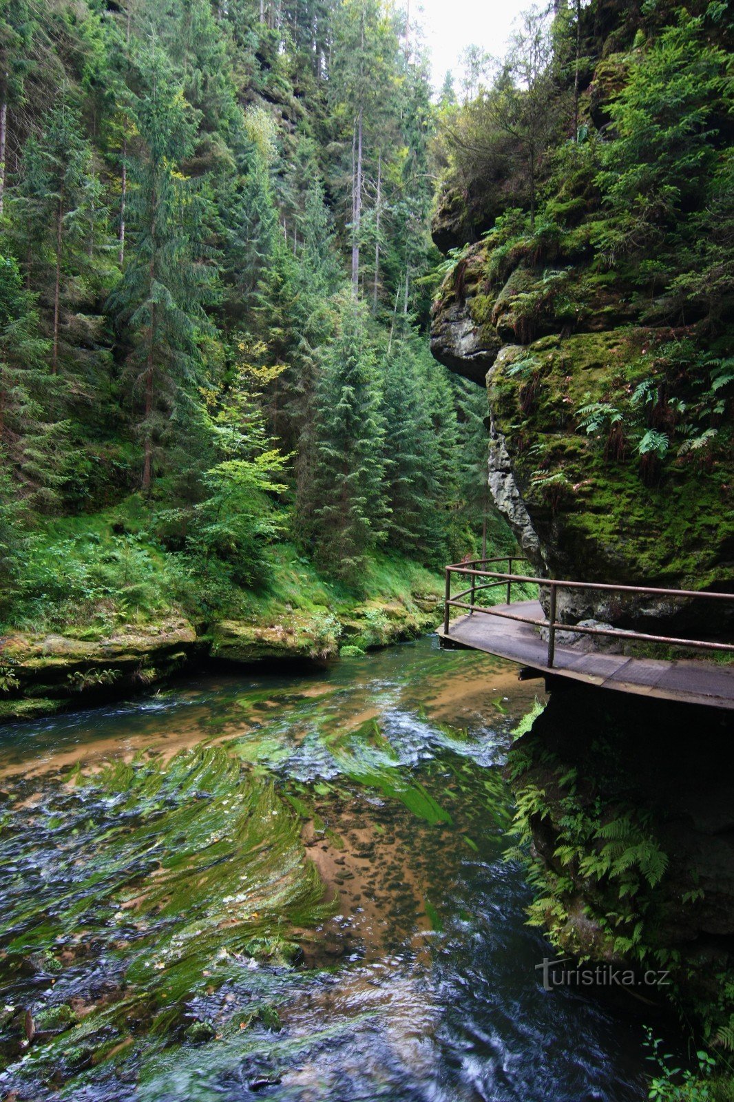 Soutěsky Hřensko summer 2016