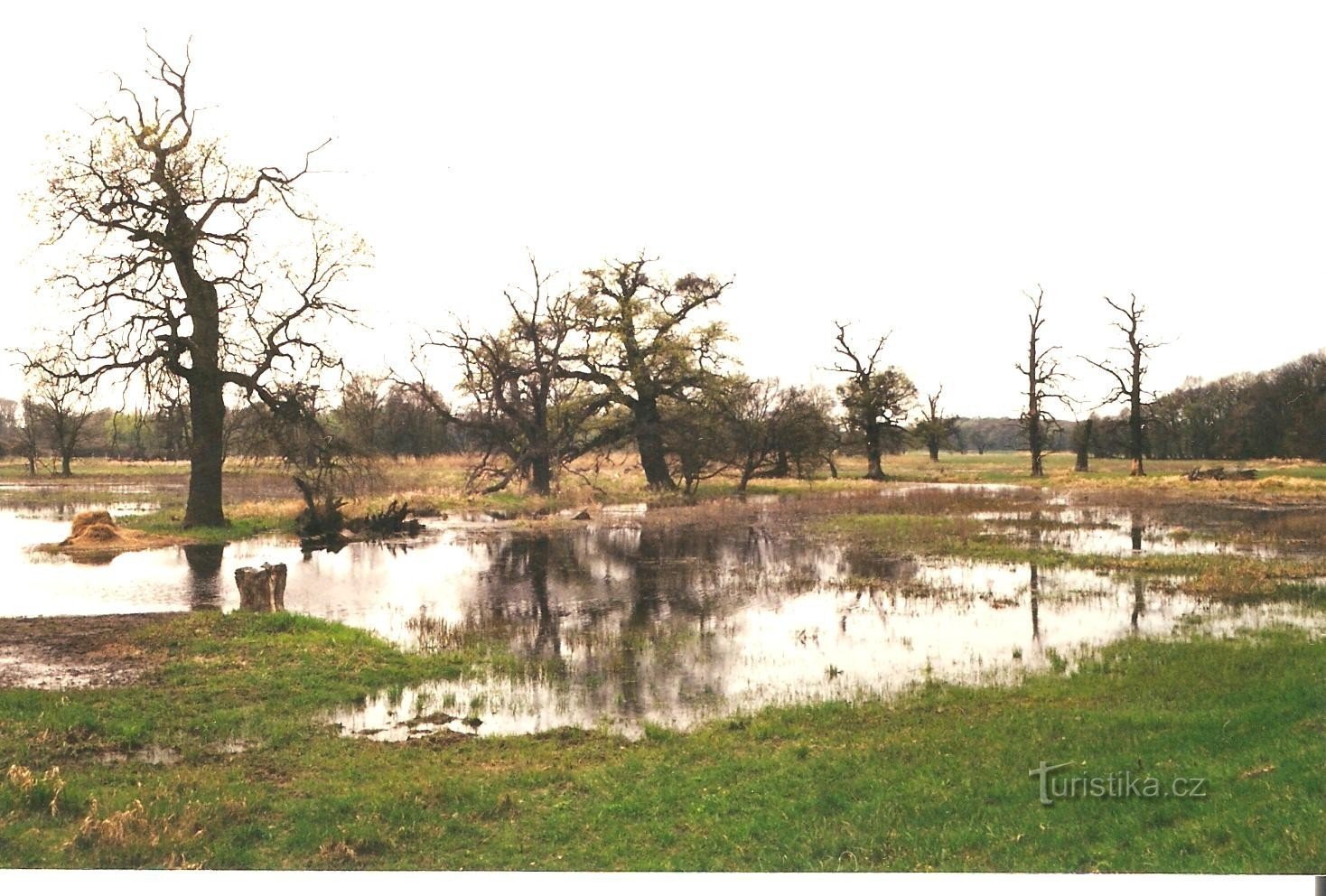 Confluence - Black Lakes