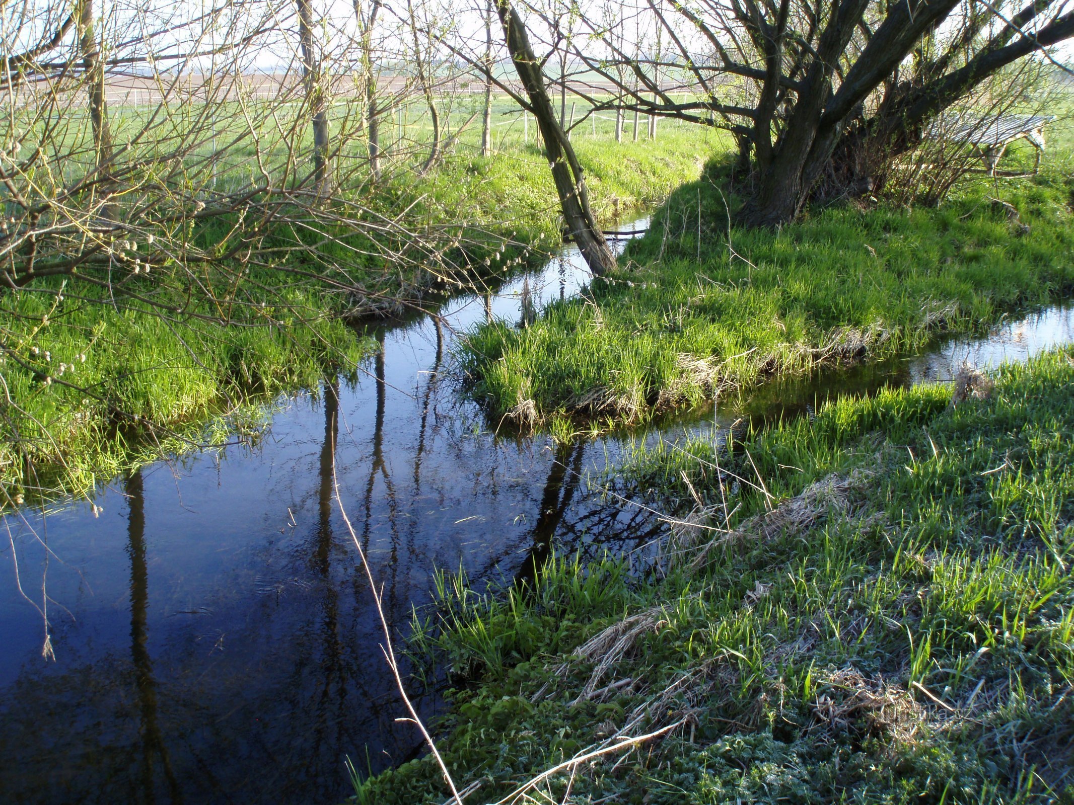 Soutok Černilovského a Librantického potoka, počátek Piletického potoka (Rusek)