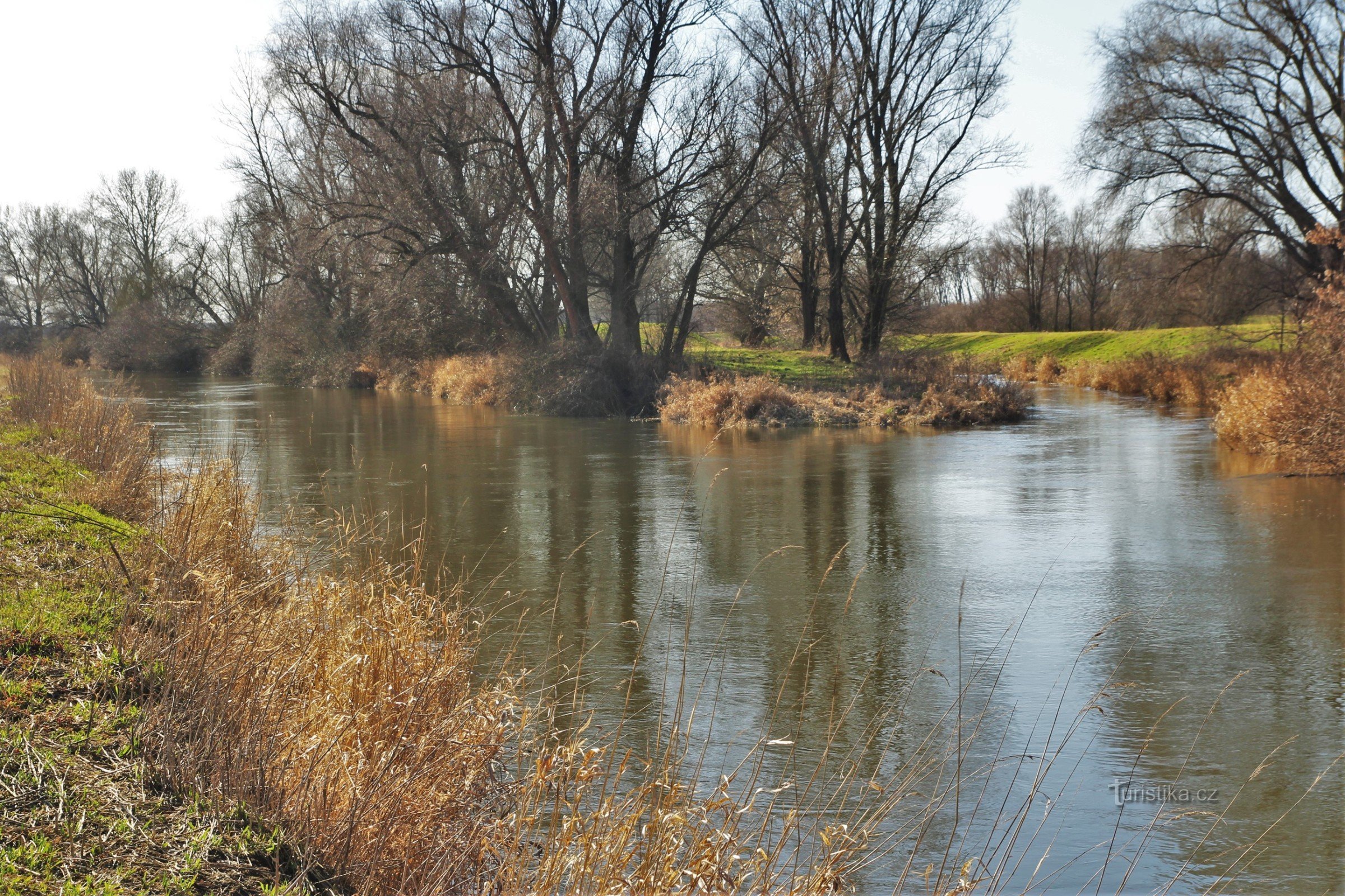 Der Zusammenfluss von Dyje und Jevišovka