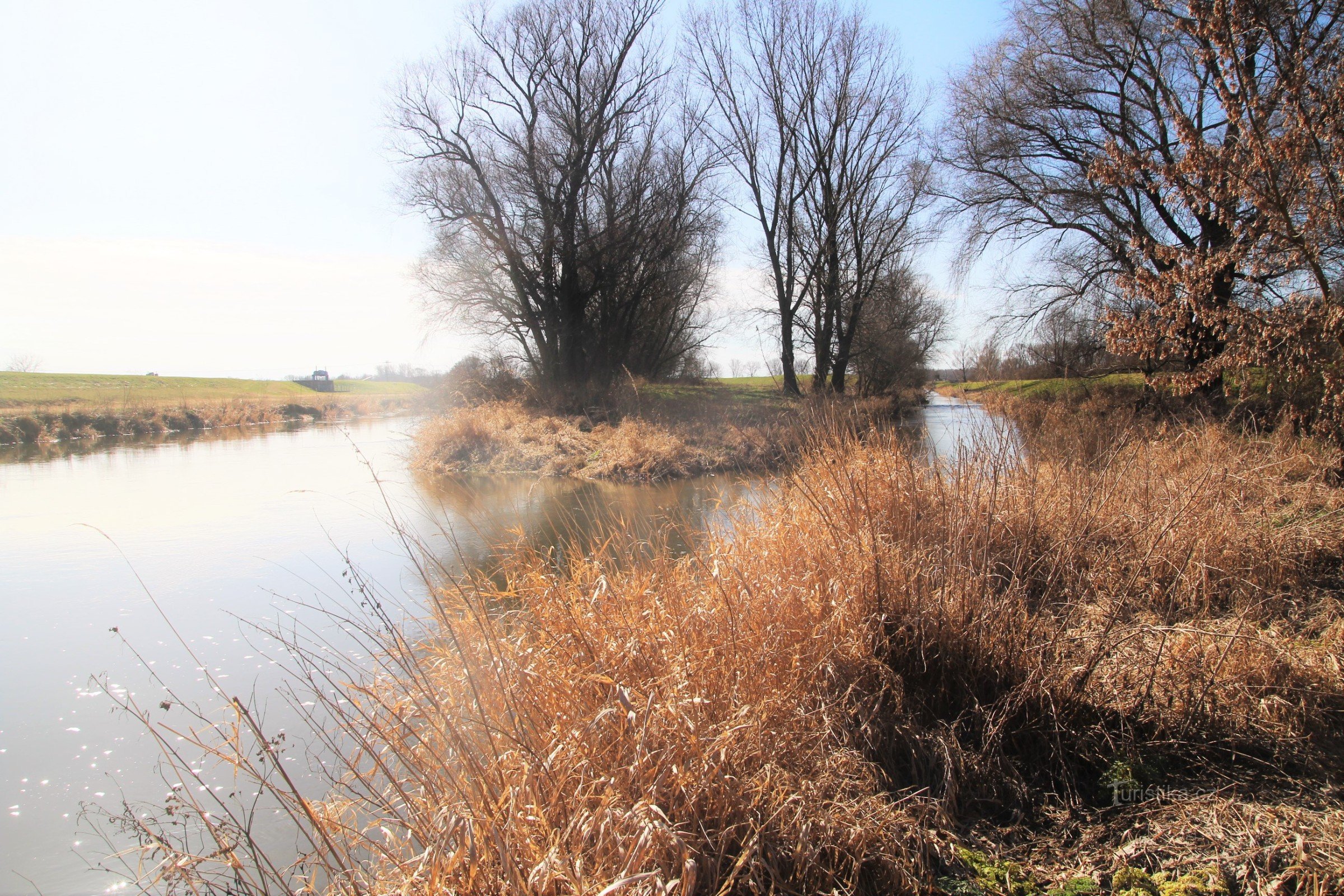 Der Zusammenfluss von Dyje und Jevišovka