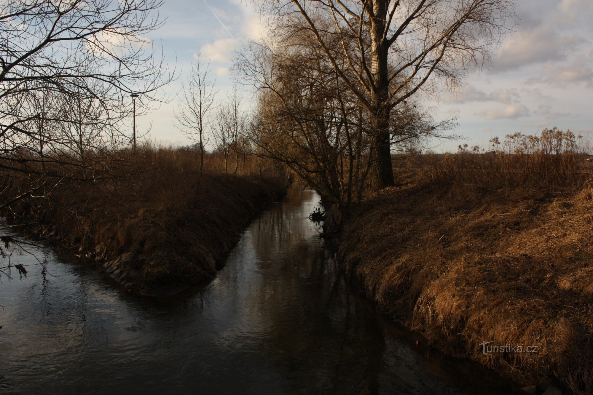 Sotočje Haná in Brodečke pri Němčicah nad Hanau