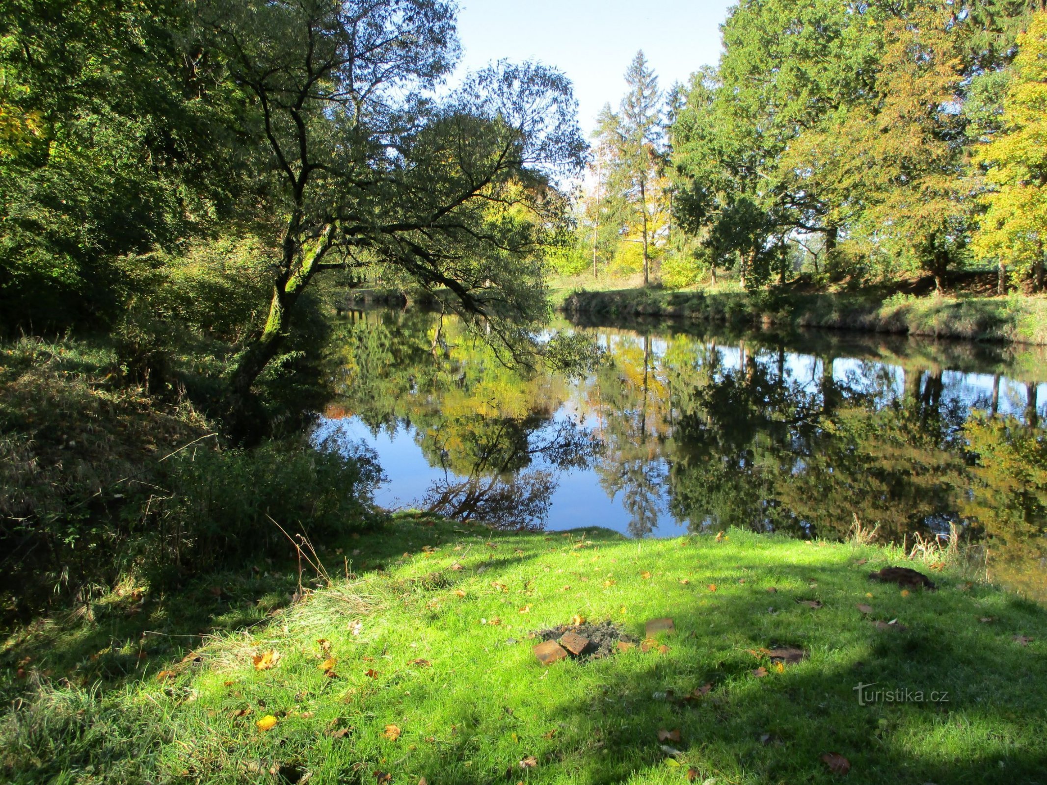 La confluencia del río Elba y Malostranské bajo Pardědub (Skalice, 12.10.2019/XNUMX/XNUMX)