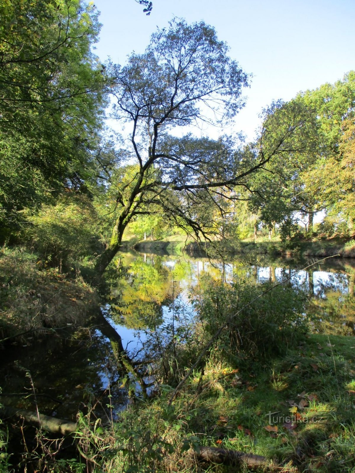 Zusammenfluss von Elbe und Malostranské-Bach (Skalice, 12.10.2019)