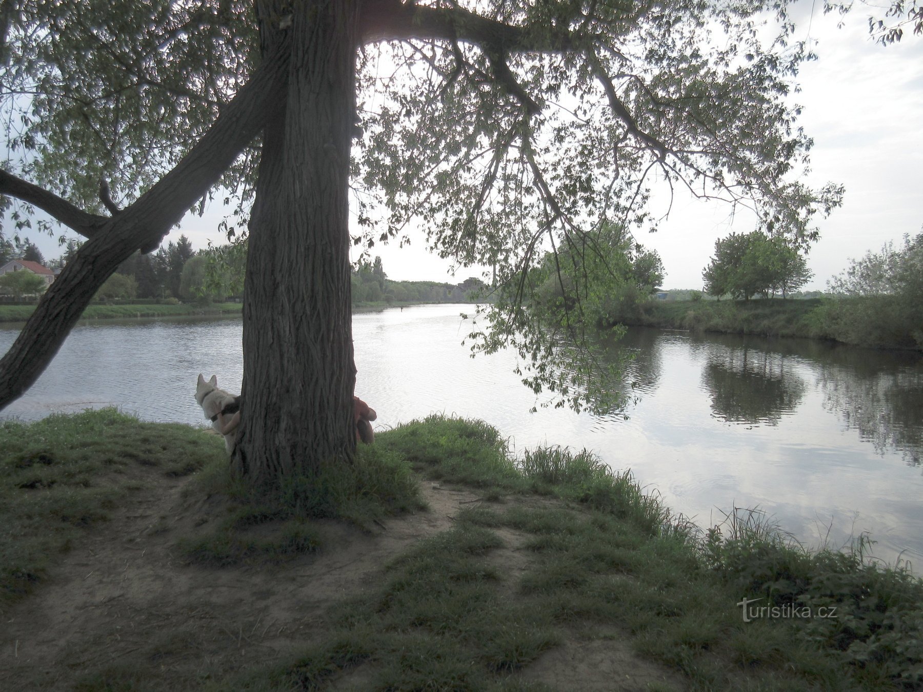 The confluence of the Elbe and the Jizera