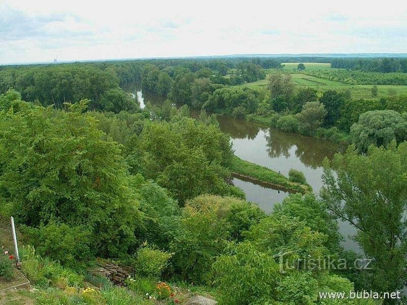 Sammanflödet av Elbe och Moldau