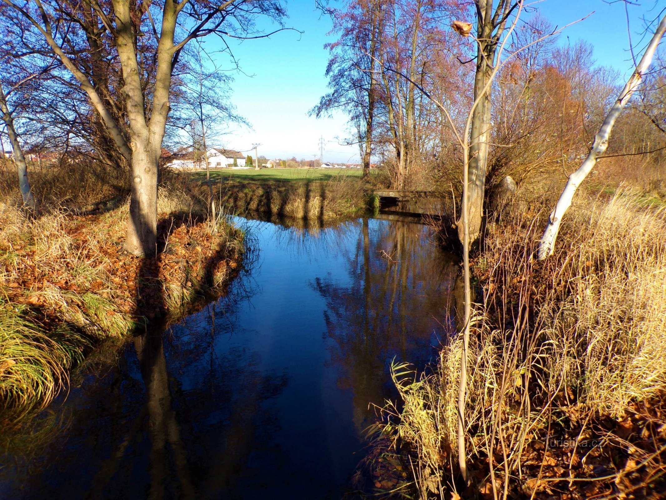 La confluence de Melounka et Malé Labské nahon (Hradec Králové, 3.12.2021 décembre XNUMX)