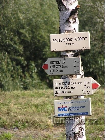 Zusammenfluss von Oder und Opava: Zusammenfluss von Oder und Opava - Detail