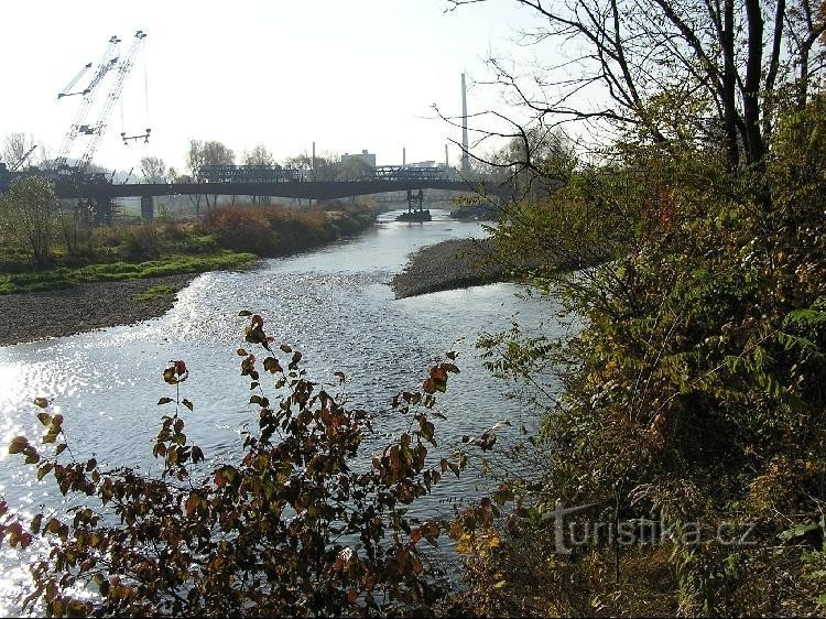 Zusammenfluss von Oder und Ostravice: Zusammenfluss von Oder und Ostravice