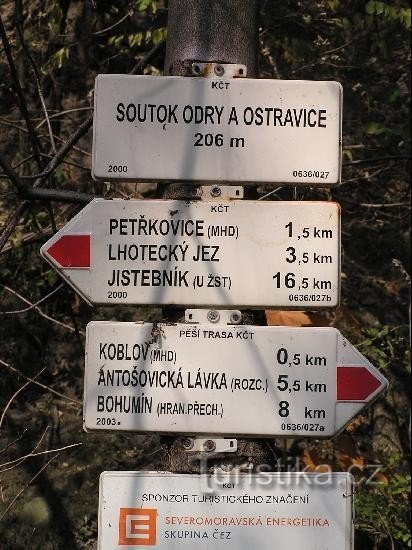 Odra és Ostravice összefolyása: Odra és Ostravice összefolyása - részlet
