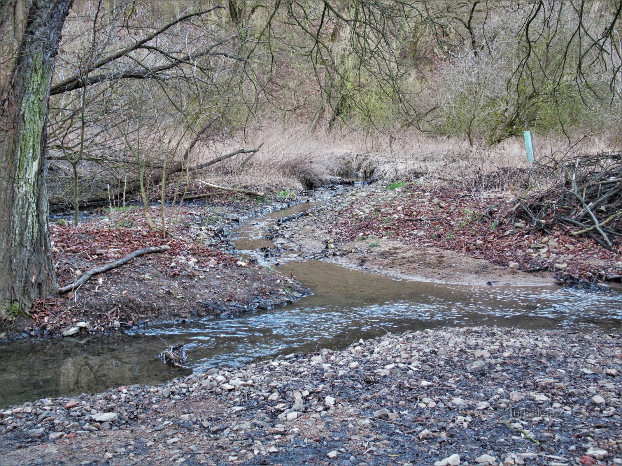 La confluence des ruisseaux Ponávka et Jehnické au début du printemps